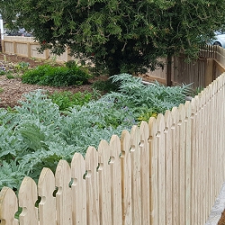 Residential Fencing