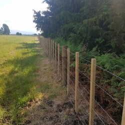 Rural or Lifestyle Fencing 