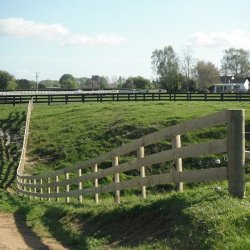 Rural or Lifestyle Fencing 