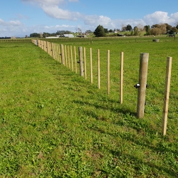 Rural or Lifestyle Fencing