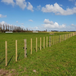 Rural or Lifestyle Fencing 